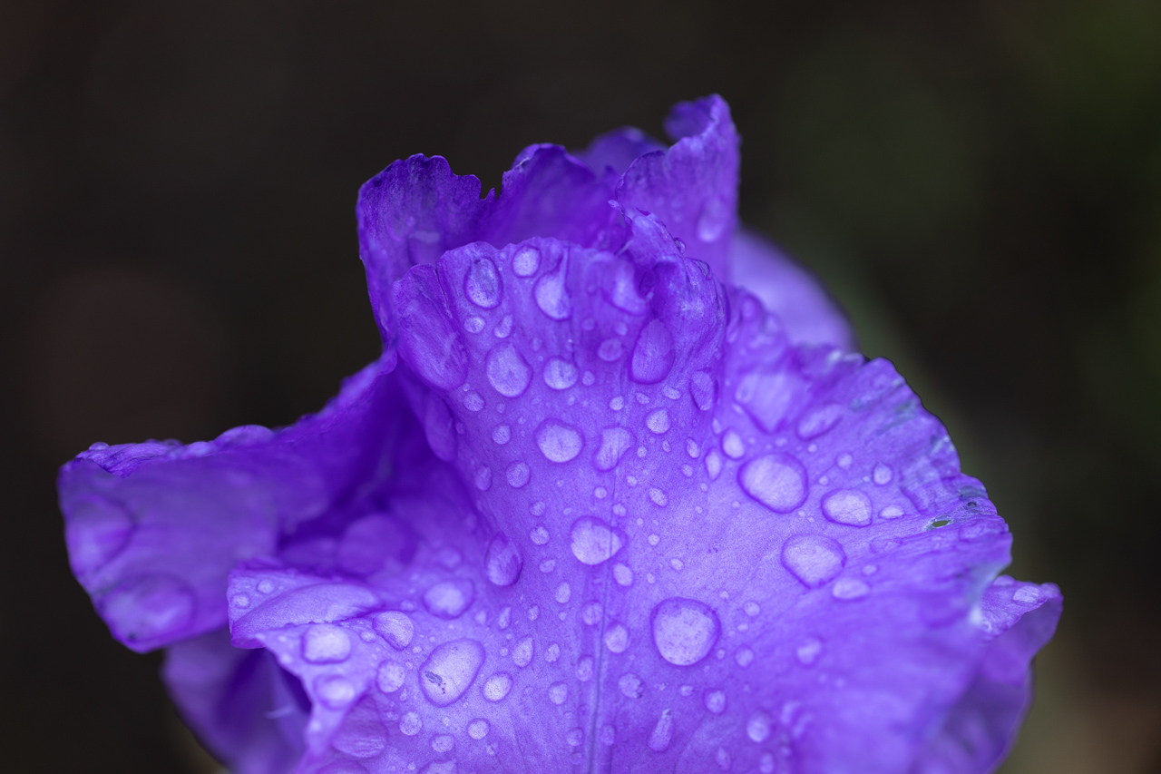 Since You Did Not Ask…